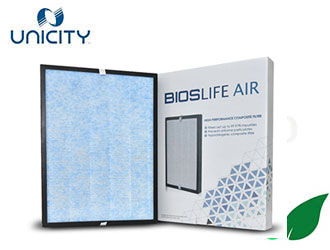 ไส้กรอง